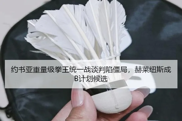 yue-shu-ya-zhong-liang-ji-quan-wang-tong-yi-zhan-tan-pan-xian-jiang-ju-he-lai-niu-si-cheng-ji-hua-hou-xuan-2-539.jpg