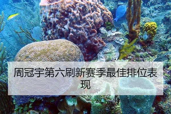 周冠宇第六刷新赛季最佳排位表现