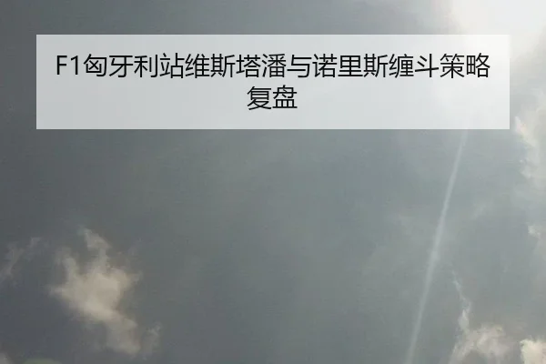 F1匈牙利站维斯塔潘与诺里斯缠斗策略复盘