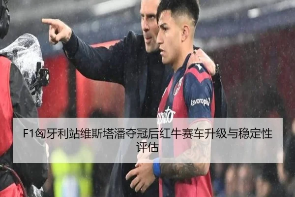 xiong-ya-li-zhan-wei-si-ta-pan-duo-guan-hou-hong-niu-sai-che-sheng-ji-yu-wen-ding-xing-ping-gu-2-513.jpg